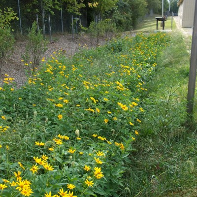 Green Infrastructure in Prince George’s County