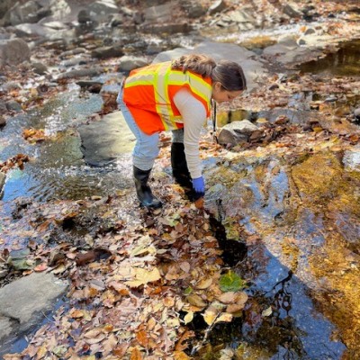 Fall water quality sampling in Prince George's County